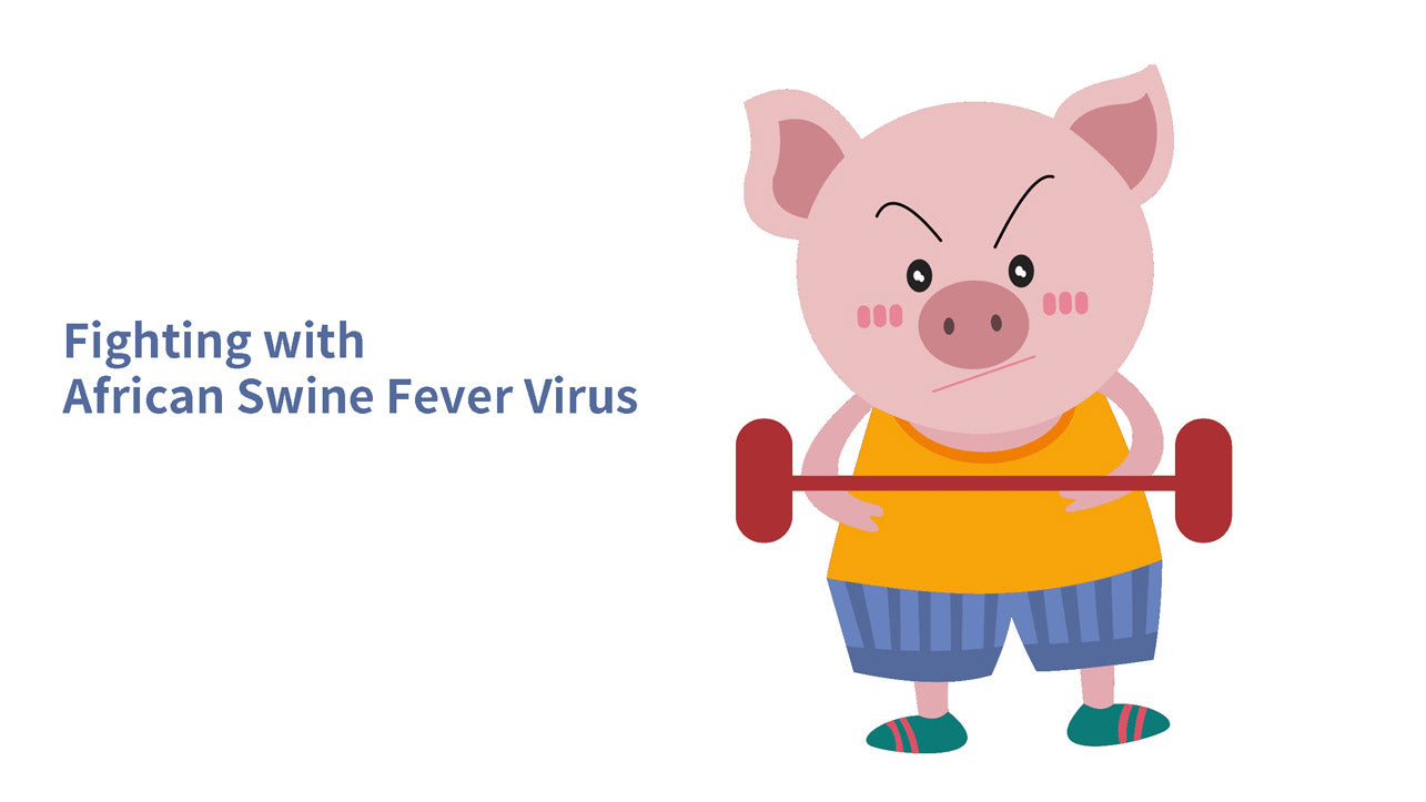 African Swine Fever Virus - Total Master Mix/Direct Amplification qPCR Solution