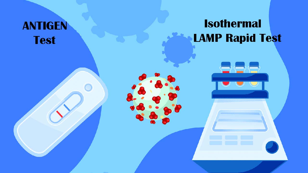High-quality isothermal amplification raw materials ——Making RT -LAMP more sensitive and faster!