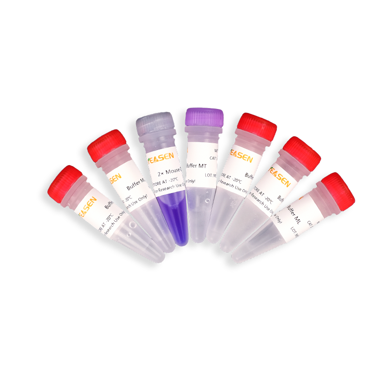 Hieff™ Mouse Tissue Direct PCR Kit  (With Dye) -10185ES