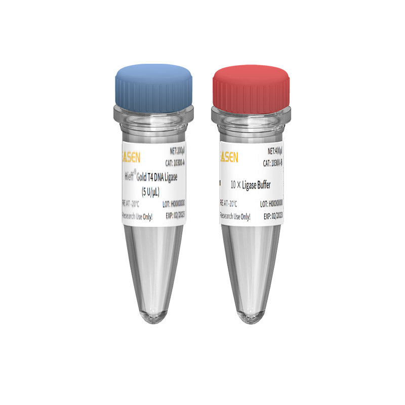 Hieff™ Gold T4 DNA Ligase (5 U/μL) -10300ES