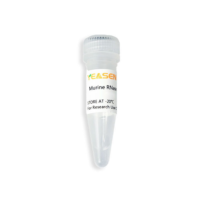 UCF.ME™ Murine RNase inhibitor (40 U/μL) _ 14672ES