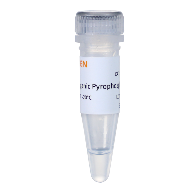 Pyrophosphatase, Inorganic GMP-grade (1 U/μL) -10620ES