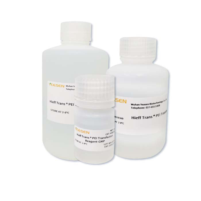 Hieff Trans™ PEI Transfection Reagent-GMP grade -40821