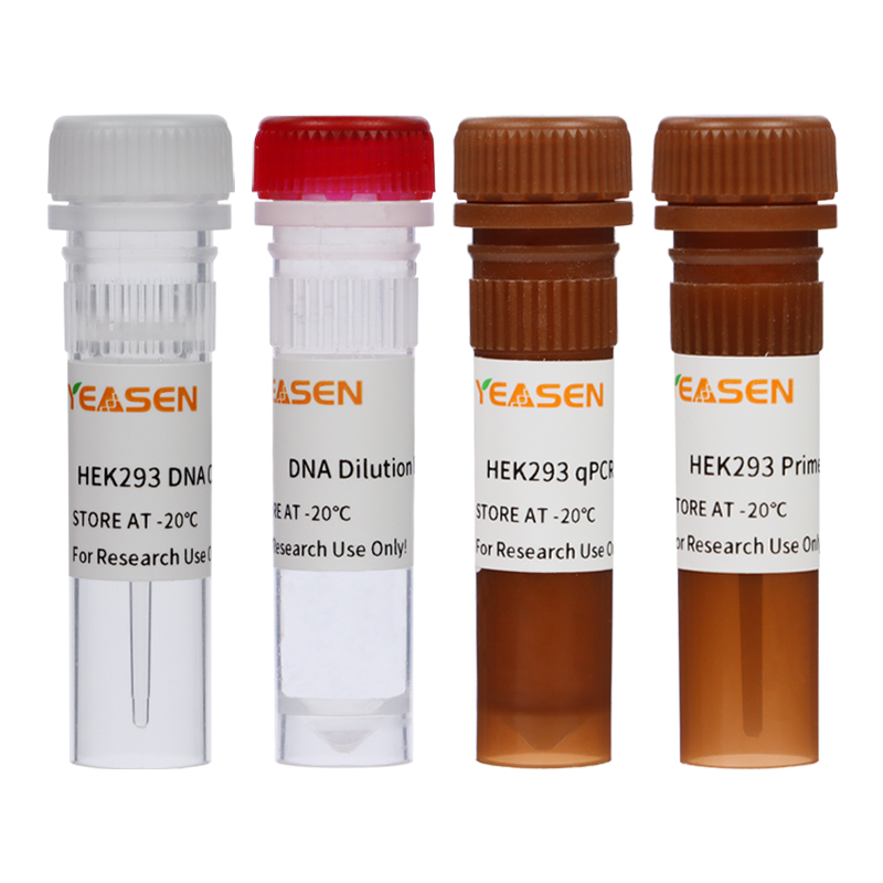 HEK293 Host Cell DNA Residue Detection Kit (3G) _ 41331ES