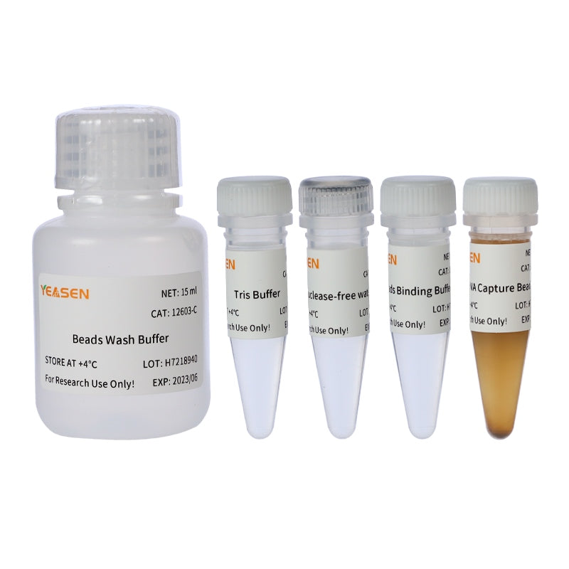 Hieff NGS™ mRNA Isolation Master Kit _ 12603ES