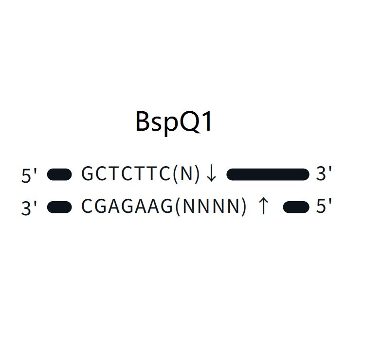 FuniCut™ BspQI GMP-grade (10 U/μL) -10664ES