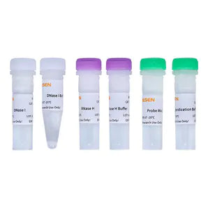 Hieff NGS™ MaxUp rRNA Depletion Kit (Plant) -12254ES