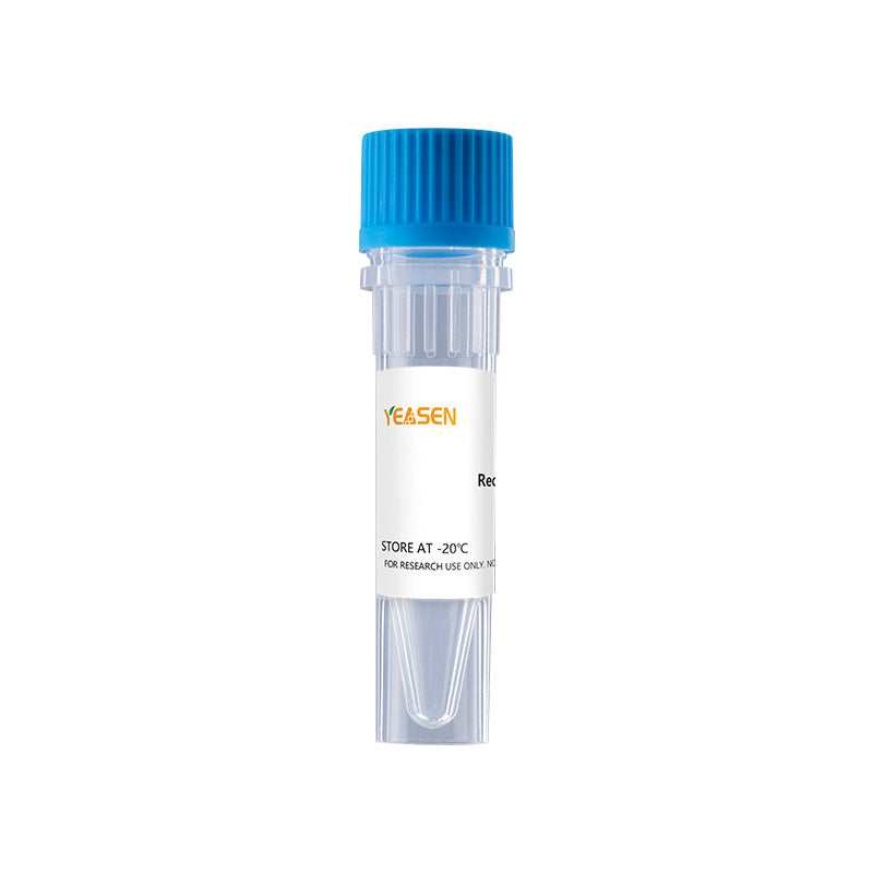 Recombinant  Human RSPO1 Protein _ 92278ES