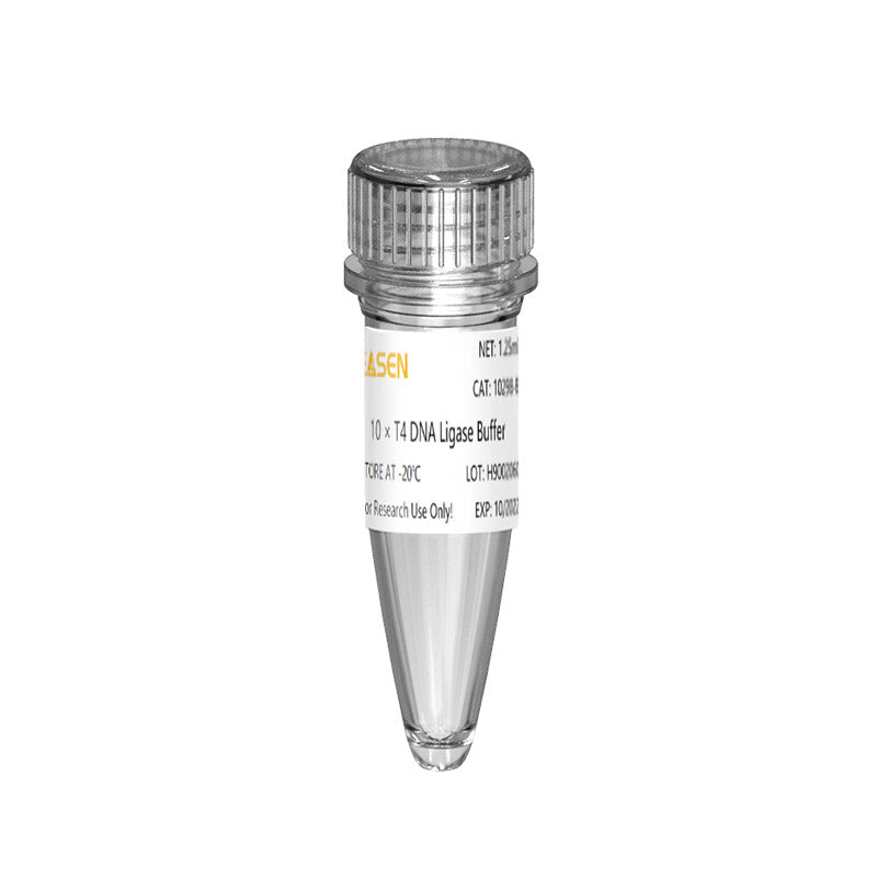 Hieff™ Versatile T4 DNA Ligase (High Fidelity, 600 U/µL)- 12996ES